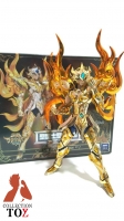 Collection Toys